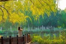 黄海足球比分-黄海足球风云，比分背后的激情与策略较量